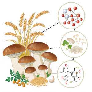 mushrooms grains and mulecules