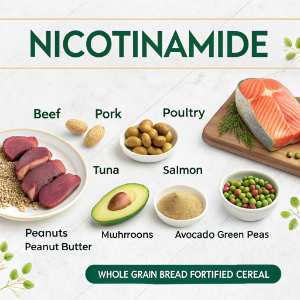 foods related beef avocado salmon 