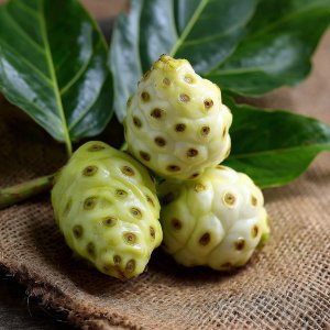Noni fruit (Morinda citrifolia)