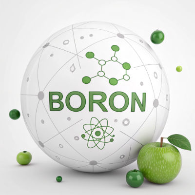 Boron is a metalloid element, often represented as a single atom or in borate form, linked to bone and brain health.